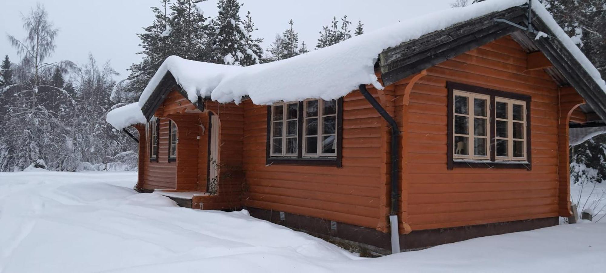 B&B Camp Aengra Lassekrog Экстерьер фото